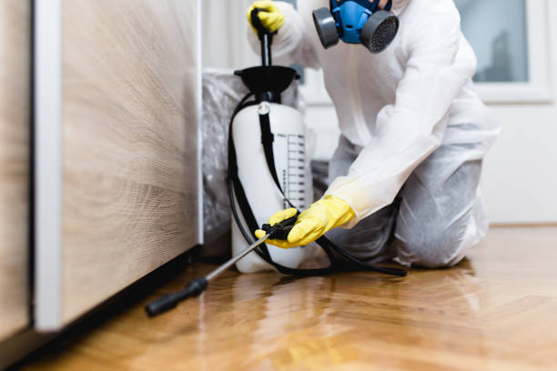 Best Cockroach Control Services  in Watkins Glen, NY
