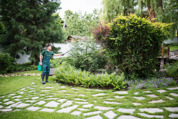 Best Wasp Removal Services  in Watkins Glen, NY