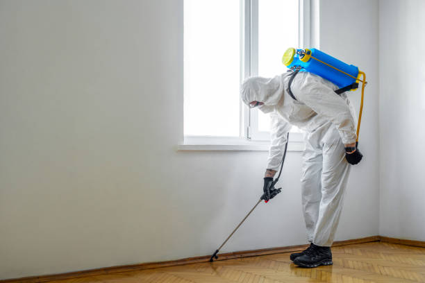 Pest Control for Restaurants in Watkins Glen, NY