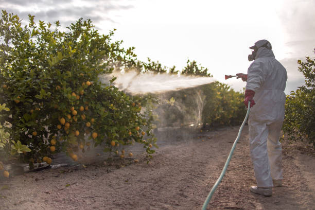 Best Cockroach Control Services  in Watkins Glen, NY