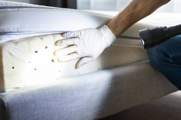 Best Pest Inspection Near Me  in Watkins Glen, NY
