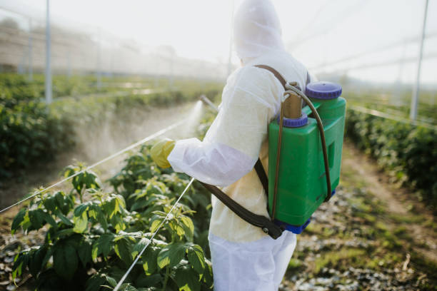 Best Residential Pest Control  in Watkins Glen, NY